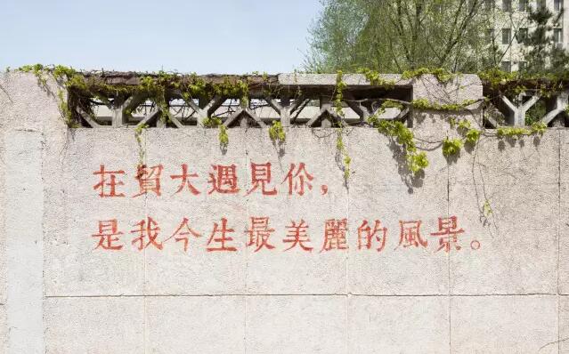 在贸大遇见你,是我今生最美丽的风景