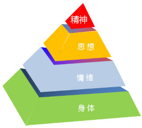 �����ҡ��˶������������γ̽���Բ������