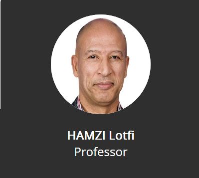 HAMZI Lotfi 教授