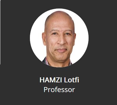 HAMZI Lotfi 